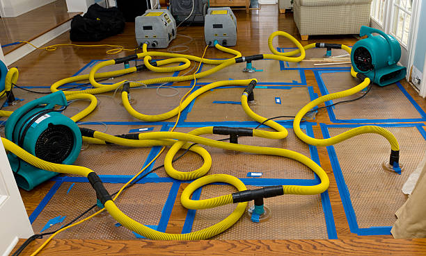 Professional Flood Damage Restoration technician working in Davis Junction, IL